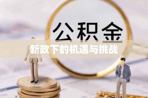金华新政下的机遇与挑战