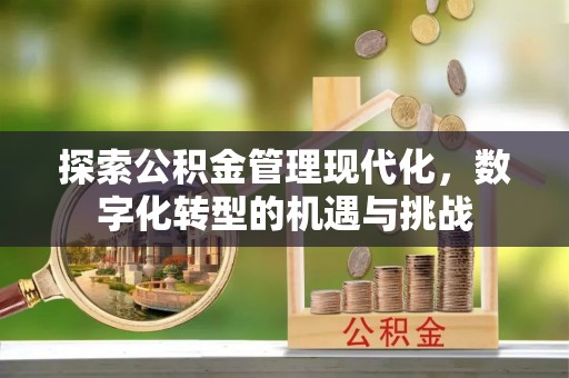 金华探索公积金管理现代化，数字化转型的机遇与挑战