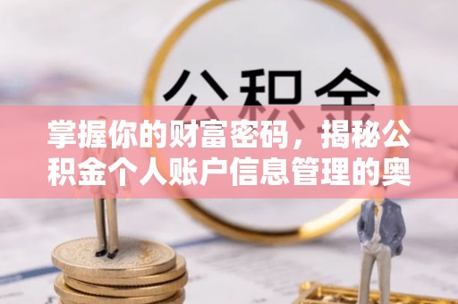 金华掌握你的财富密码，揭秘公积金个人账户信息管理的奥秘