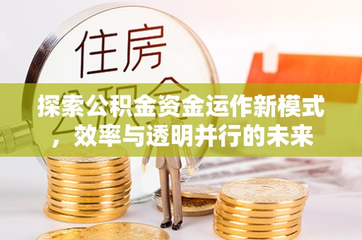 金华探索公积金资金运作新模式，效率与透明并行的未来
