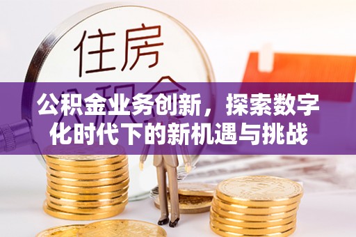 金华公积金业务创新，探索数字化时代下的新机遇与挑战