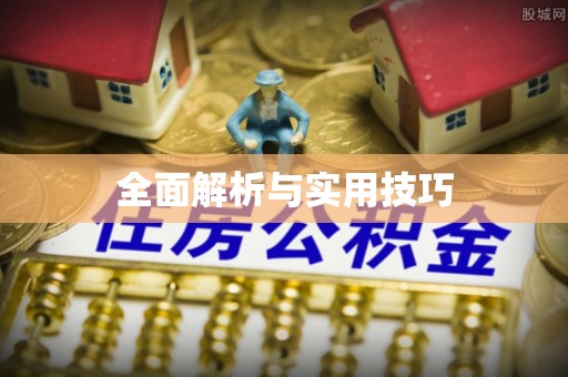 金华全面解析与实用技巧