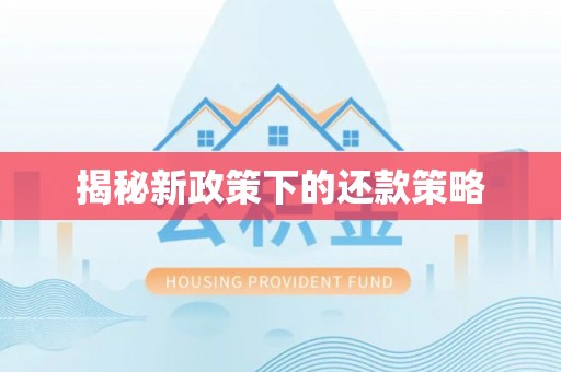 金华揭秘新政策下的还款策略