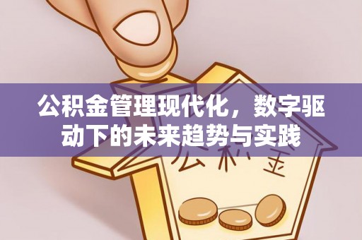 金华公积金管理现代化，数字驱动下的未来趋势与实践