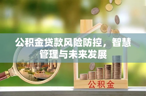 金华公积金贷款风险防控，智慧管理与未来发展