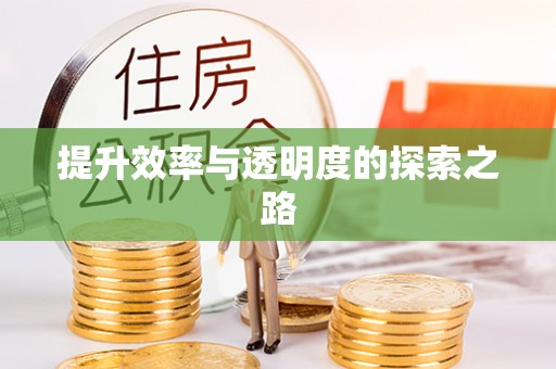 金华提升效率与透明度的探索之路