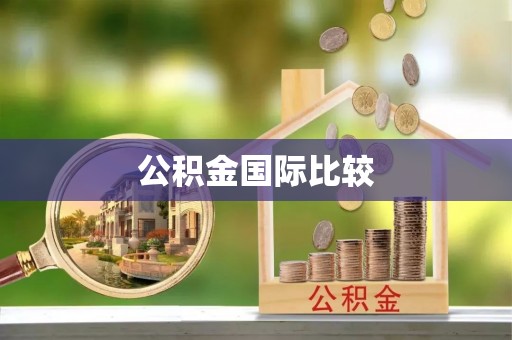 金华公积金国际比较