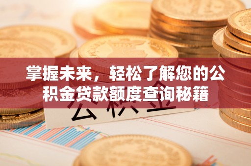 金华掌握未来，轻松了解您的公积金贷款额度查询秘籍