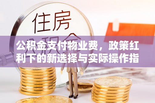 金华公积金支付物业费，政策红利下的新选择与实际操作指南