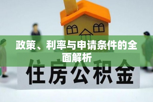 金华政策、利率与申请条件的全面解析