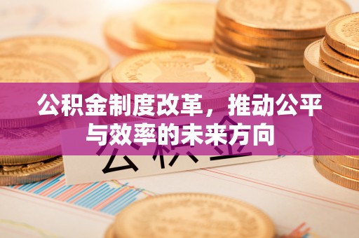 金华公积金制度改革，推动公平与效率的未来方向