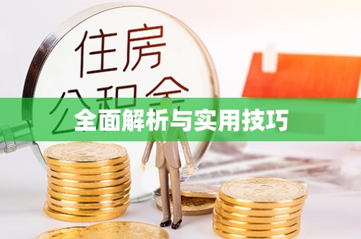 金华全面解析与实用技巧
