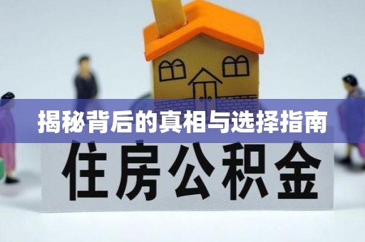 金华揭秘背后的真相与选择指南