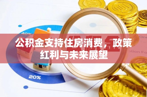 金华公积金支持住房消费，政策红利与未来展望