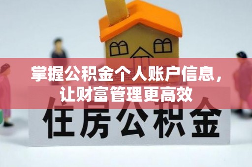 金华掌握公积金个人账户信息，让财富管理更高效