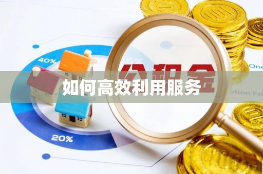金华如何高效利用服务
