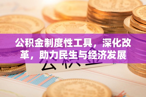 金华公积金制度性工具，深化改革，助力民生与经济发展