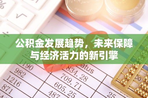 金华公积金发展趋势，未来保障与经济活力的新引擎