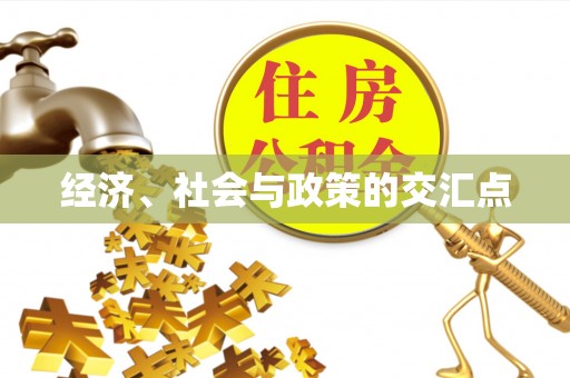 金华经济、社会与政策的交汇点