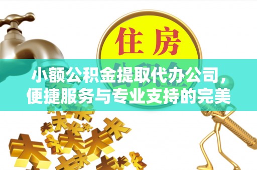 金华小额公积金提取代办公司，便捷服务与专业支持的完美结合