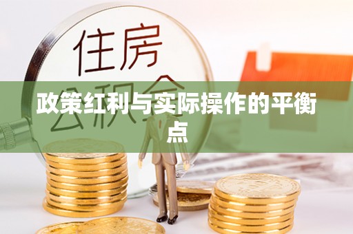 金华政策红利与实际操作的平衡点