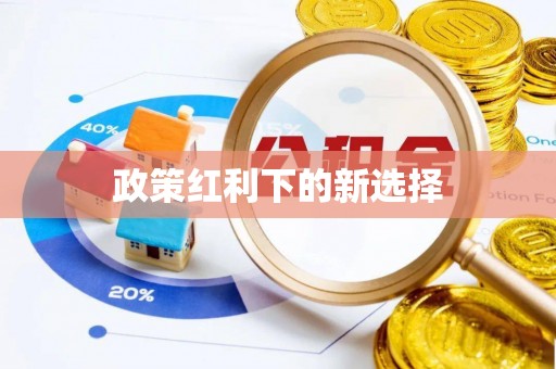 金华政策红利下的新选择