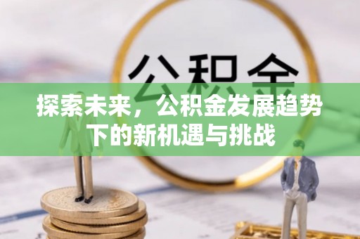 金华探索未来，公积金发展趋势下的新机遇与挑战