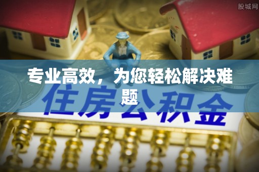 金华专业高效，为您轻松解决难题