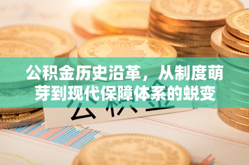 金华公积金历史沿革，从制度萌芽到现代保障体系的蜕变