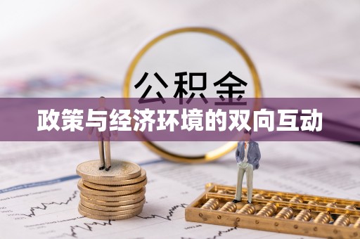 金华政策与经济环境的双向互动