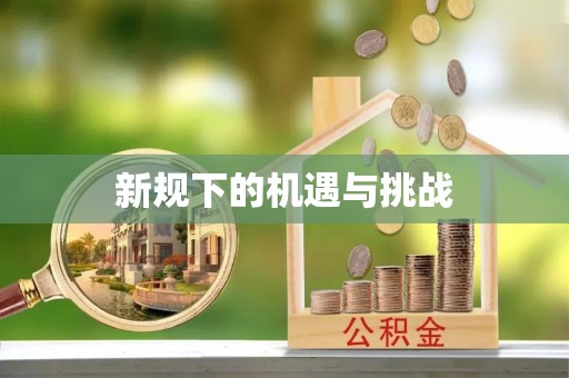 金华新规下的机遇与挑战