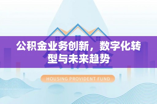 金华公积金业务创新，数字化转型与未来趋势