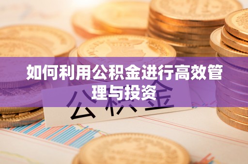 金华如何利用公积金进行高效管理与投资