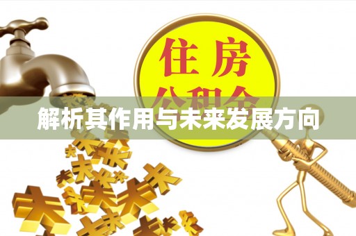 金华解析其作用与未来发展方向