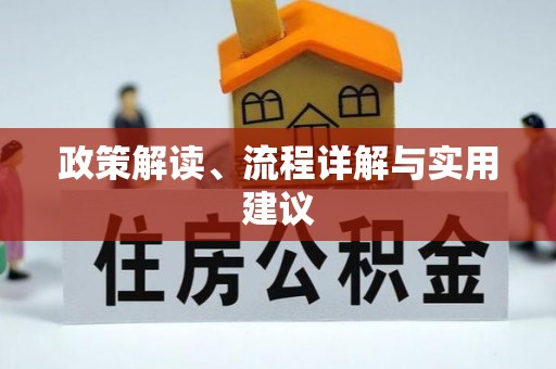 金华政策解读、流程详解与实用建议