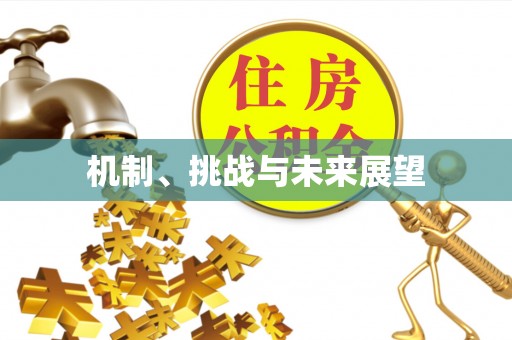 金华机制、挑战与未来展望