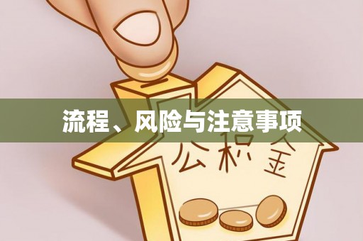 金华流程、风险与注意事项