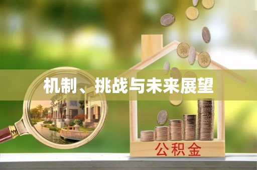金华机制、挑战与未来展望